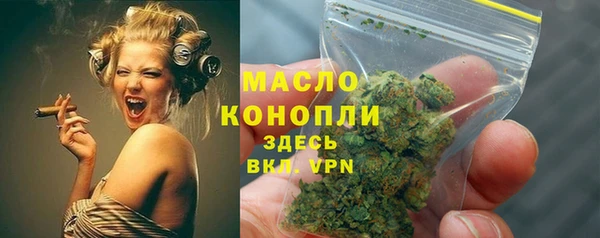 прущий лед Богданович