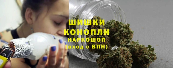 прущий лед Богданович
