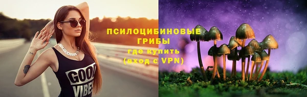 MDMA Богородск