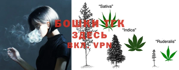 прущий лед Богданович