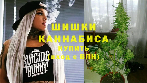 прущий лед Богданович