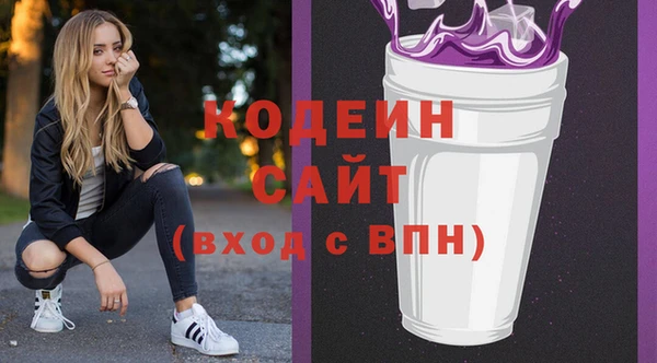 прущий лед Богданович