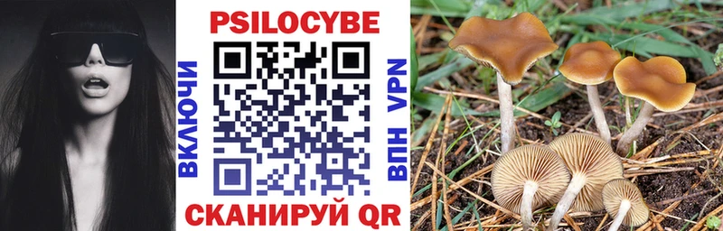 Псилоцибиновые грибы MAGIC MUSHROOMS  купить наркоту  МЕГА вход  Томск 