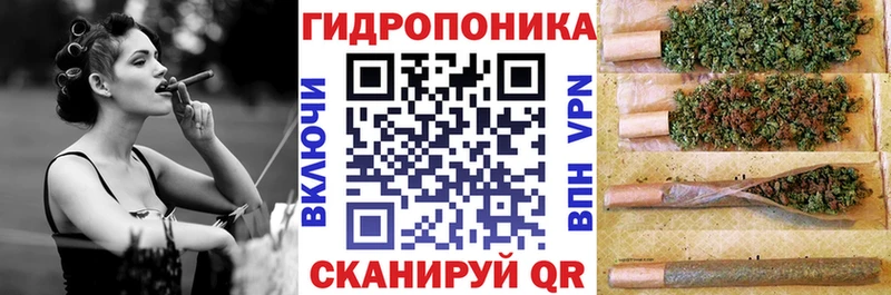 где найти наркотики  Томск  МЕГА tor  Бошки Шишки семена 
